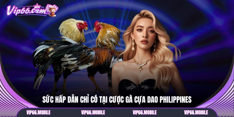 Sức hấp dẫn chỉ có tại cược gà cựa dao Philippines 